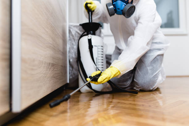 Reliable Phoenix Lake, CA Pest Control Solutions