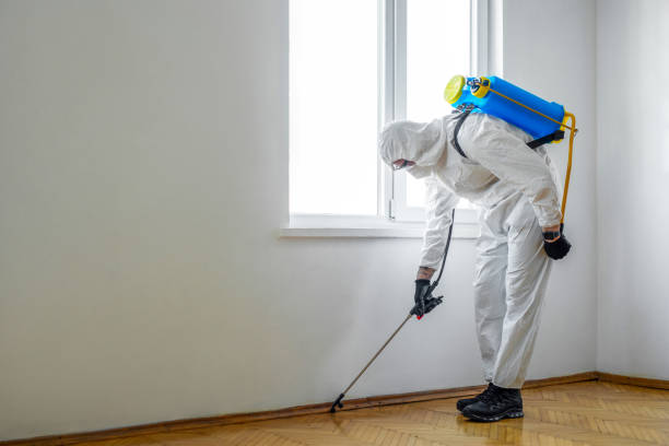 Best Pest Control for Homes  in Phoenix Lake, CA