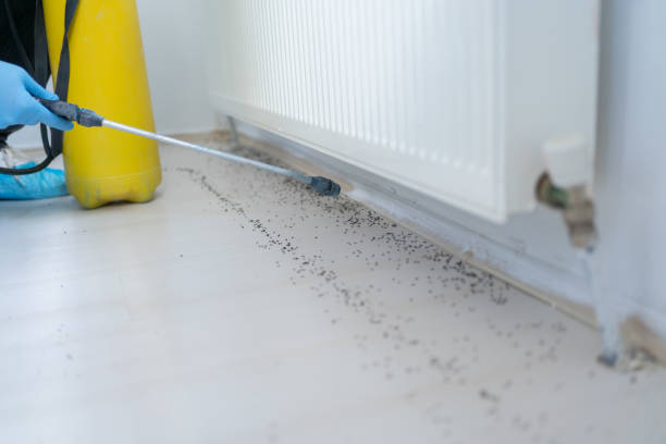 Best Commercial Pest Control Services  in Phoenix Lake, CA