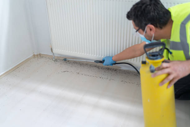 Best Residential Pest Control  in Phoenix Lake, CA