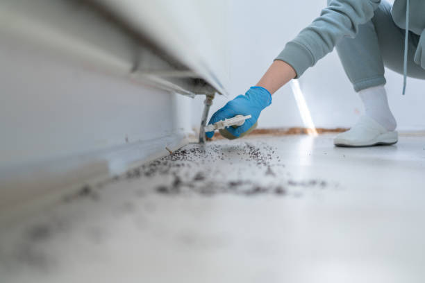 Best Best Pest Control Companies  in Phoenix Lake, CA